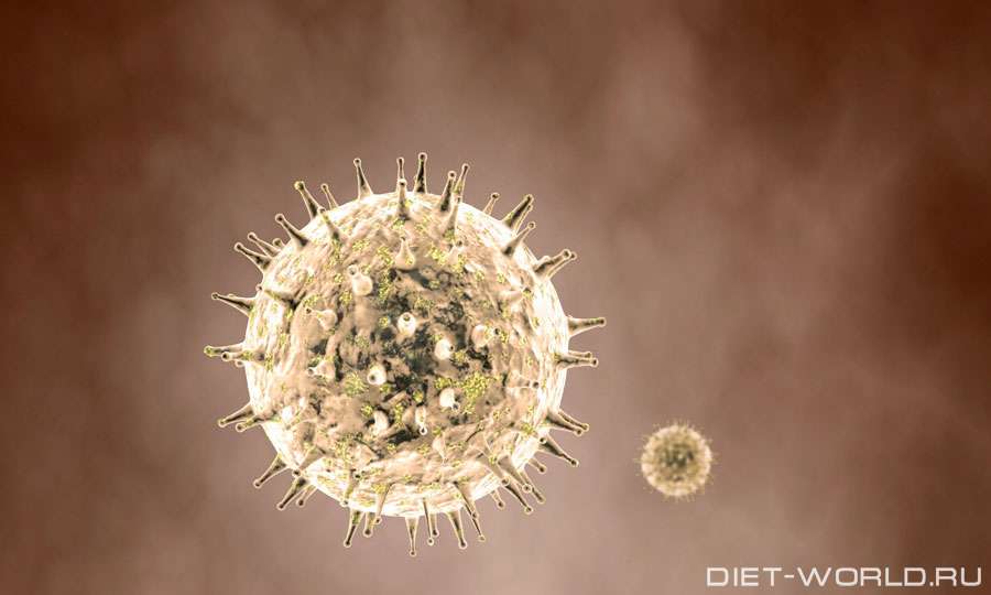 Вирусы герпеса — симптомы, способы лечения